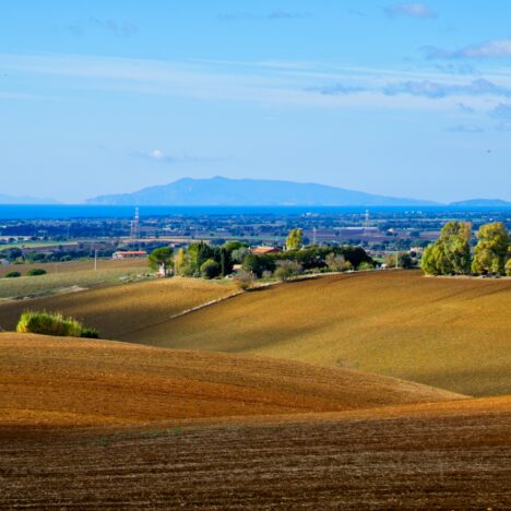 15.11.2022 – Ladispoli