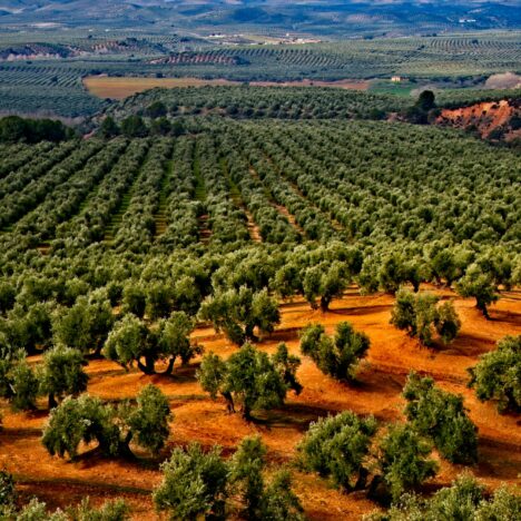 🇵🇹 Portugal