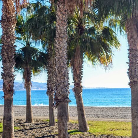 30.01.2023 – Torre del Mar