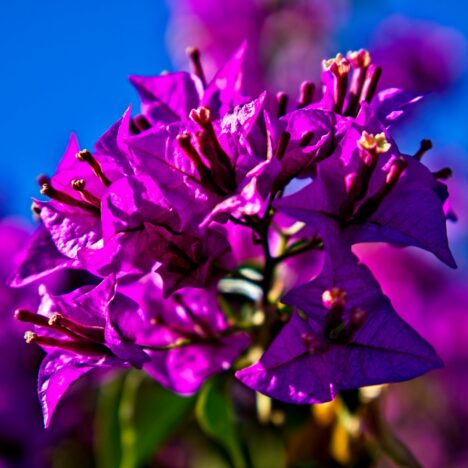 31.01.2023 – Màlaga