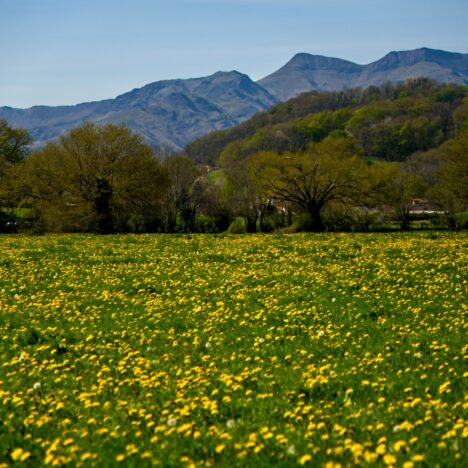 05.04.2023 – Saint-Jean-Pied-de-Port