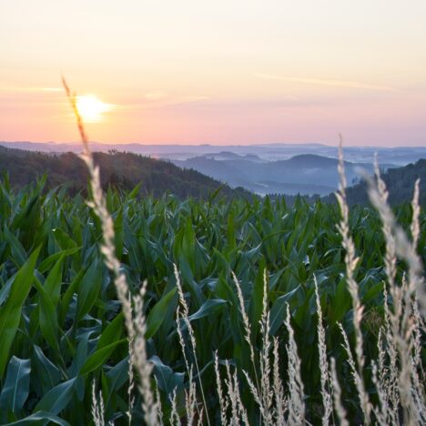 10.07.2023 – Fürstenberg